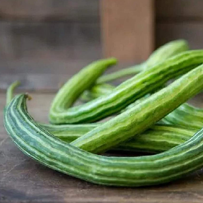 These unique, Armenian type, burpless cucumber can grow up to 36 inches long and curl into snake-like shapes! Fruits are light green with dark green stripes, slender and ribbed with a mild delicious flavor that is best when harvested at 8 to 15 inches long. Harvest in 70 days. Germination rate is 80% or better. 