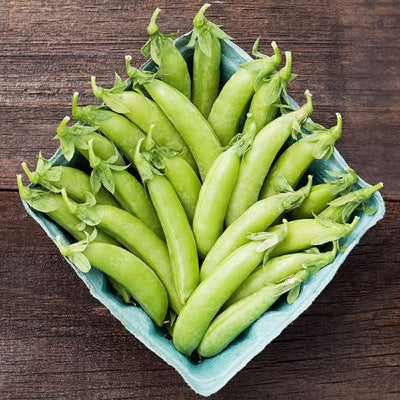 A must-have main season variety with heavy yields of juicy, thick-walled pods. Bucket loads of plump pods with tiny, distinctively delicious peas on 3 foot tall vines. Fortified with natural defenses for healthy plants. Spring or fall crop.  Harvest in about 60 days. Germination rate about 80% or better. 
