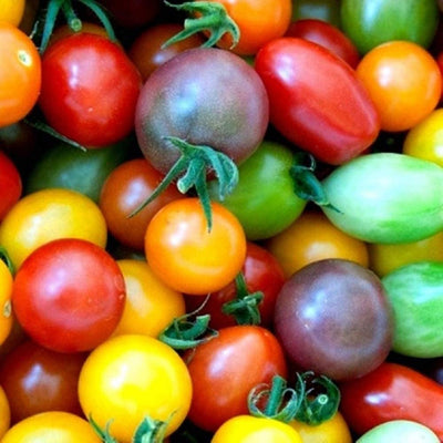 Great variety of cherry tomatoes of various sizes and tastes. It is sure to be a massive hit at any trade show or farmer's market. This pack is a mix of determinate and indeterminate tomato seeds. 
