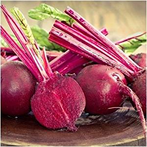 All American Selections Winner. Solid, deep red, round, smooth, uniform with a fine buttery texture and dark red interior. No rings or zoning. Small tap root. 10 to 12 inch tall dull green tops. Can obtain a larger size than most beets and not get a woody texture or dirt/soapy taste. Performs well in poor soil. Harvest in about 60 days. Germination rate about 80% or better.