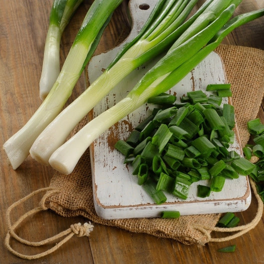 The Tokyo Long White Bunching Onion – or Scallion – is an extremely tasty Japanese heirloom variety that grows well throughout the United States. Produces lovely white stalks with green leaves. Use Tokyo Long White Bunching Scallions in soups, stir-fries and omelets.  Harvest in about 60 days. Germination rate about 80% or better. 