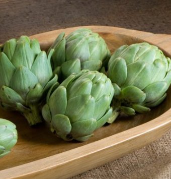 This is the easiest artichoke variety to grow from seed. Specifically bred for annual production, Imperial Star produces artichokes the first season from seed. A plant typically has six to eight mature buds, averaging from three to four inches in diameter per plant. The spreading plants will grow three to four feet tall. Perennial to Zone Seven; otherwise, treat as an annual. Harvest in about 85 days. Germination rate about 80% or better. 