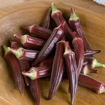 Red Burgundy Okra is as attractive as it is delicious. Another fine okra developed at Clemson University, this variety took home All-America top accolades when it was introduced in the late 1980's. Pods grow up to an impressive 8 inches long. Use Red Burgundy okra in soups, stews, and gumbos.  Harvest in about 60 days. Germination rate about 80% or better.