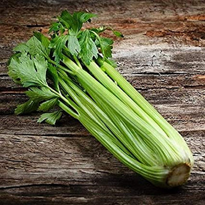 Also known as Golden Pascal, or Giant Golden Pascal, this celery cultivar hails from France where it has been grown as an heirloom for years. Strong growth habits form stalks 20 to 24 inch tall with a rich, nutty flavor. Crisp, solid, flavorful celery - this one has stood the test of time with pride-worthy characteristics. Likes plenty of water and rich, sandy soil. Warmer climates can plant mid winter, everywhere else plant in early spring. Harvest in 120 days. Germination rate about 80% or better. 